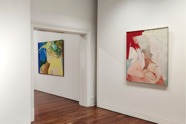 Albany Art Collection Image