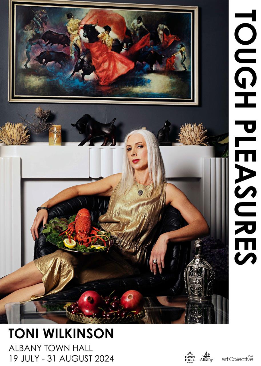 Tough Pleasures opens at the Albany Town Hall