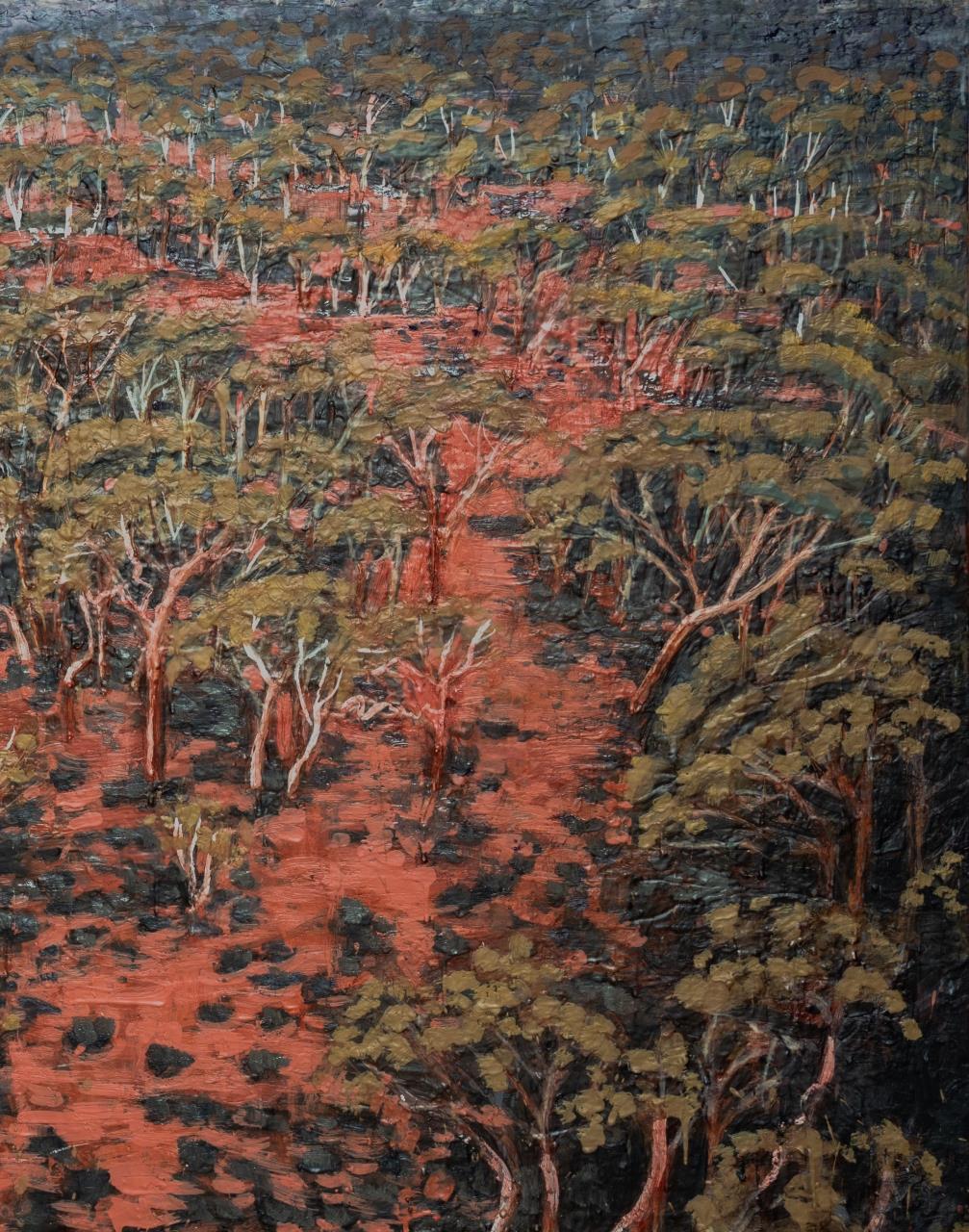 New exhibition ignites conversation about fire and regional futures