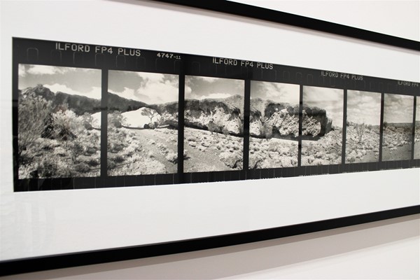 John Toohey: Terra - John Toohey: Terra