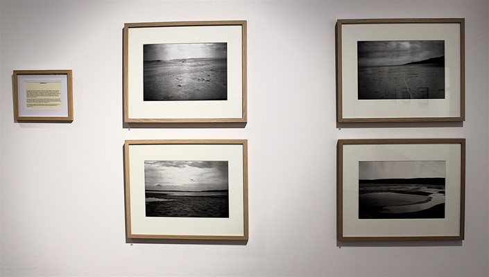 John Toohey: Terra - John Toohey: Terra