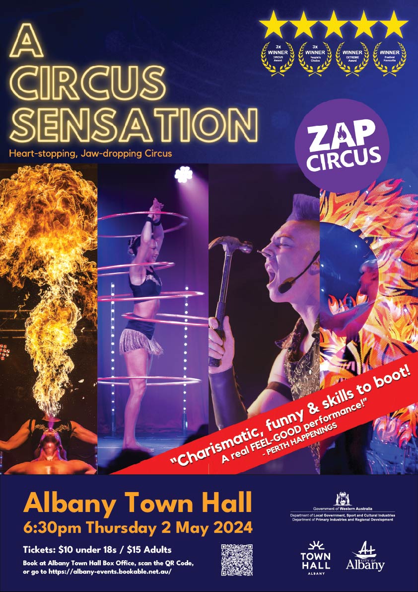 ZAP CIRCUS - A Circus Sensation